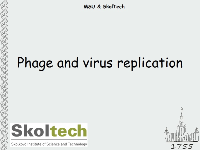 MSU & SkolTech Phage and virus replication